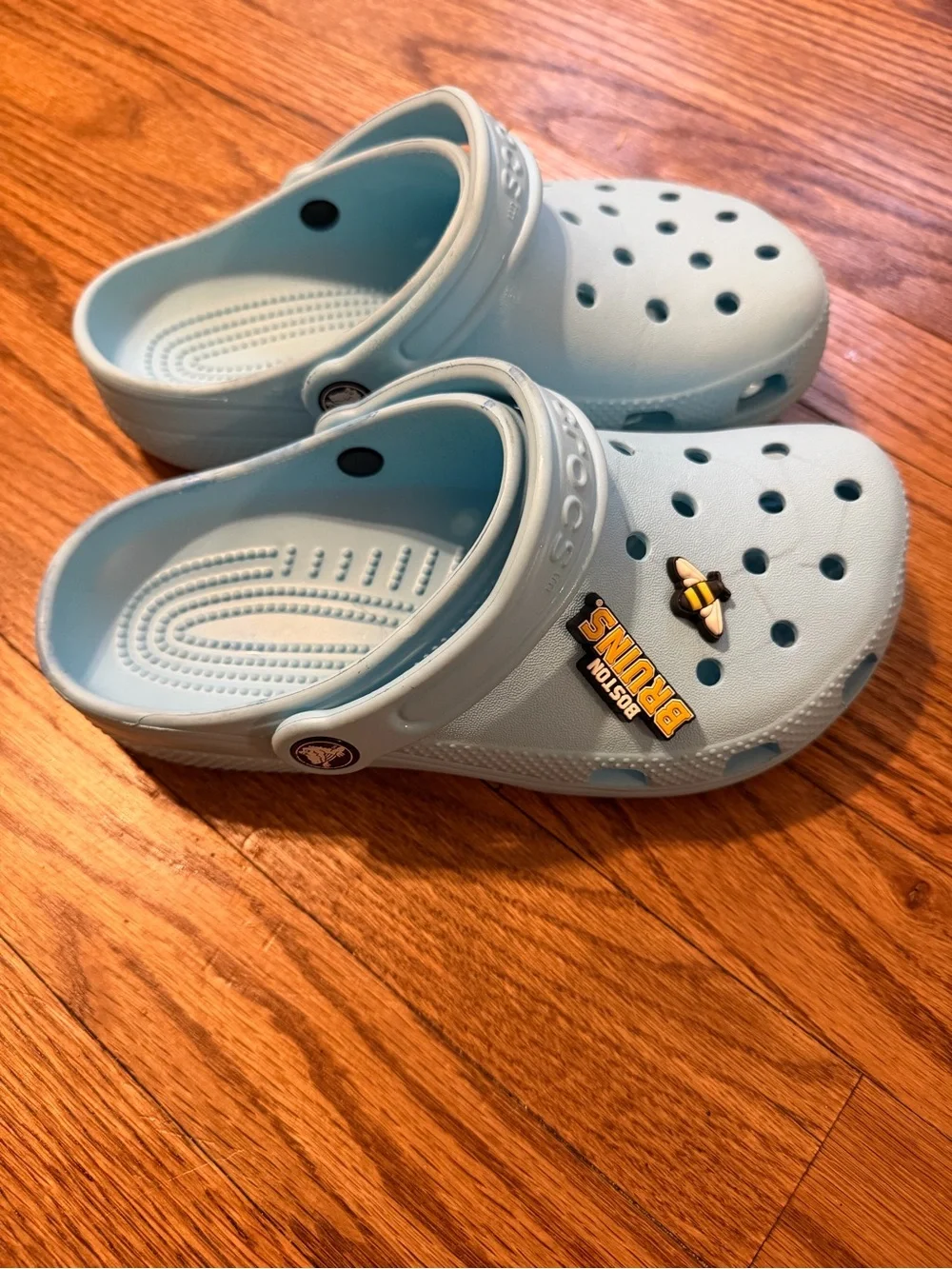CROCS Kids Light Blue Classic Clogs with Bee Charm